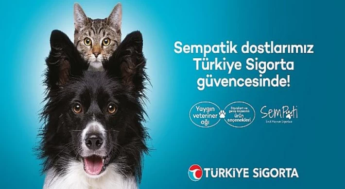 Türkiye Sigorta’dan Sevimli Dostlara Özel Sigorta