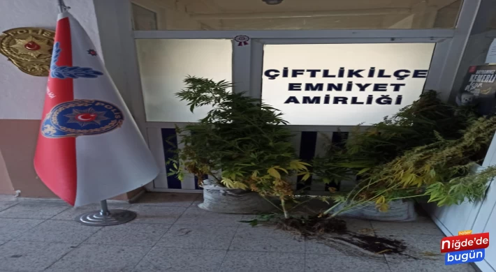 Çiftlik’te Uyuşturucu Operasyonu