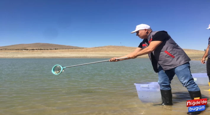 Niğde genelindeki göletlere 52 bin balık bırakıldı