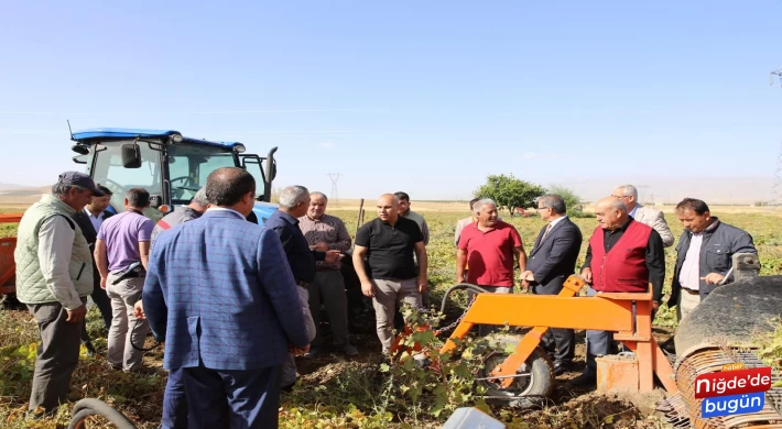 Fasulye üretiminde Türkiye’de 1: sırada olan Niğde’de hasat başladı