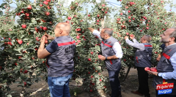 Niğde, “Elma Festivaline” Hazırlanıyor