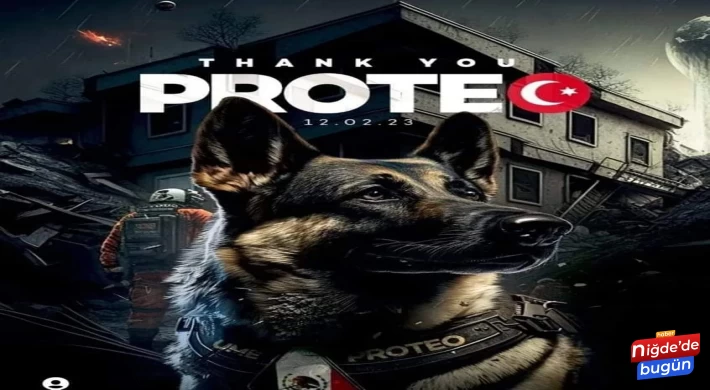 Meksika'nın arama kurtarma köpeği Proteo'ya veda