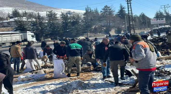 Ulukışla'da Ulukışla Kaymakamlığı, Ulukışla Ulukışla Belediyesi, Köy muhtarları ve Ulukışla halkı ile birlikte deprem bölgelerine gönderilmek üzere odunlar kesilip torbalanıyor.