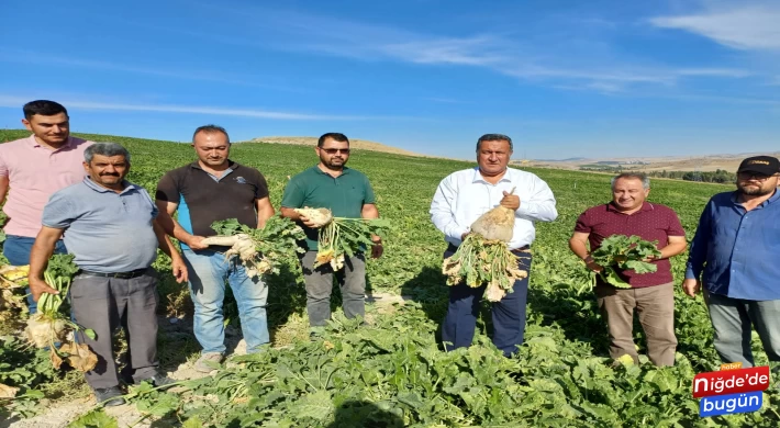 Gürer: “Pancar Taban Fiyatı Bir An Önce Açıklansın”