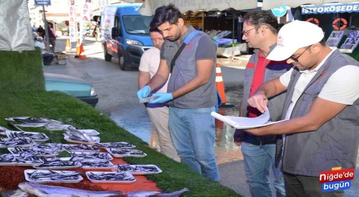 NİĞDE'DE PERAKENDE BALIK SATIŞI YAPAN YERLER DENETLENDİ