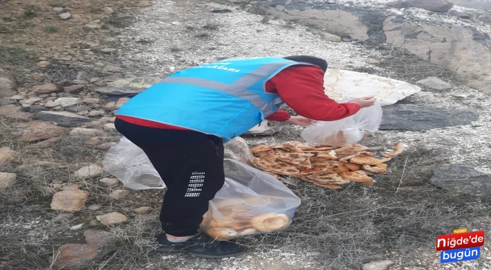 Ülkücüler Doğaya Yem Bıraktı