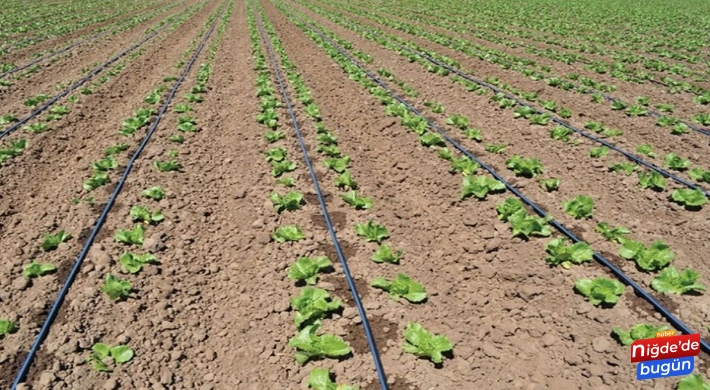 Niğde’de Damlama Sulama Sistemlerine Talep Arttı