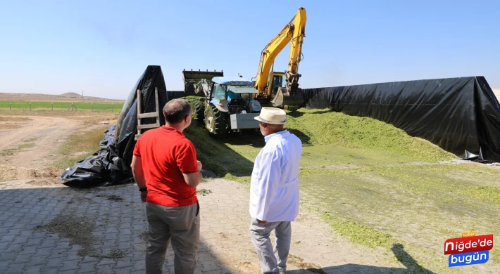 Üreten Üniversite NÖHÜ'de Mısır Hasadı Başladı