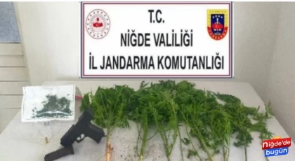 Jandarmadan Uyuşturucu Operasyonu !