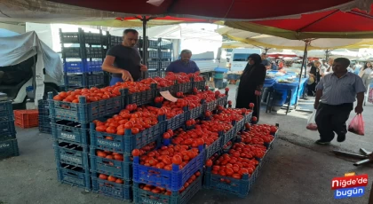 Salçalık domates ve biberin fiyatı geçen seneye göre 2-3 kat arttı.