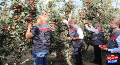 Niğde, “Elma Festivaline” Hazırlanıyor