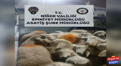 22 koyunu önce çaldılar sonra Aksaray'a sattılar