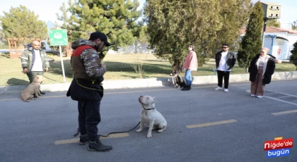 NİĞDE’DE TEHLİKELİ KÖPEKLERE 'UYUM' EĞİTİMİ