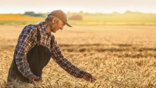 TÜİK, Tarımsal Girdi Fiyat Endeksi’ni açıkladı