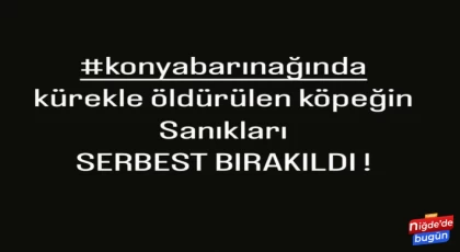 Konya'da köpeğe kürekle işkence eden 2 cani, tahliye edildi