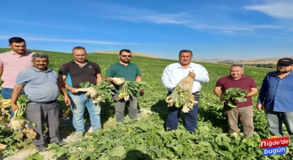 Gürer: “Pancar Taban Fiyatı Bir An Önce Açıklansın”