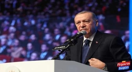 Cumhurbaşkanı Erdoğan’dan Sokak hayvanlarına ilişkin açıklama