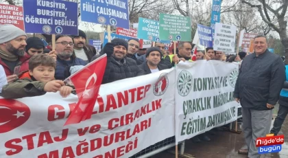 Gürer, “Staj ve çırak mağduriyetlerine çözüm getirilmelidir”