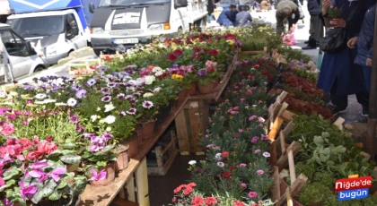 Niğde’de Baharın Gelmesiyle Çiçek Sezonu Başladı