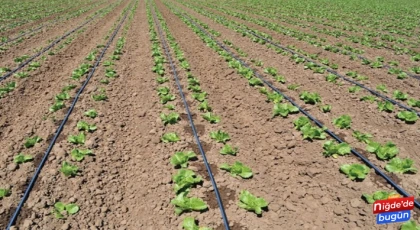 Niğde’de Damlama Sulama Sistemlerine Talep Arttı