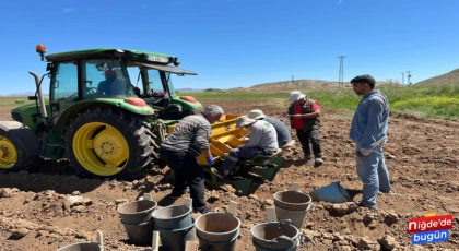 Enstitü Patates Deneme Dikimlerini İl Dışına Taşıdı