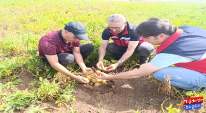 Niğde’de tarım arazileri kontrol edildi