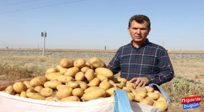 Patates Üreticileri Maliyetin Altında Patates Satarak Zarar Ediyor